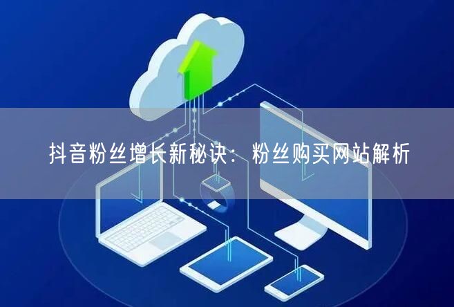 抖音粉丝增长新秘诀:粉丝购买网站解析