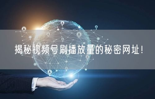 揭秘视频号刷播放量的秘密网址!