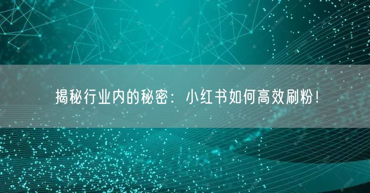 揭秘行业内的秘密:小红书如何高效刷粉!