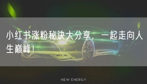 小红书涨粉秘诀大分享,一起走向人生巅峰!