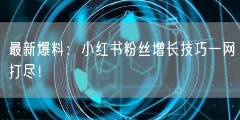 最新爆料:小红书粉丝增长技巧一网打尽!