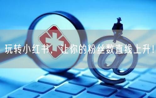 玩转小红书,让你的粉丝数直线上升!