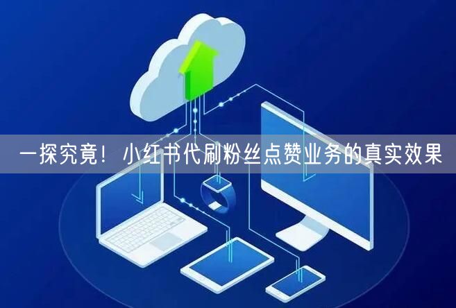 一探究竟!小红书代刷粉丝点赞业务的真实效果