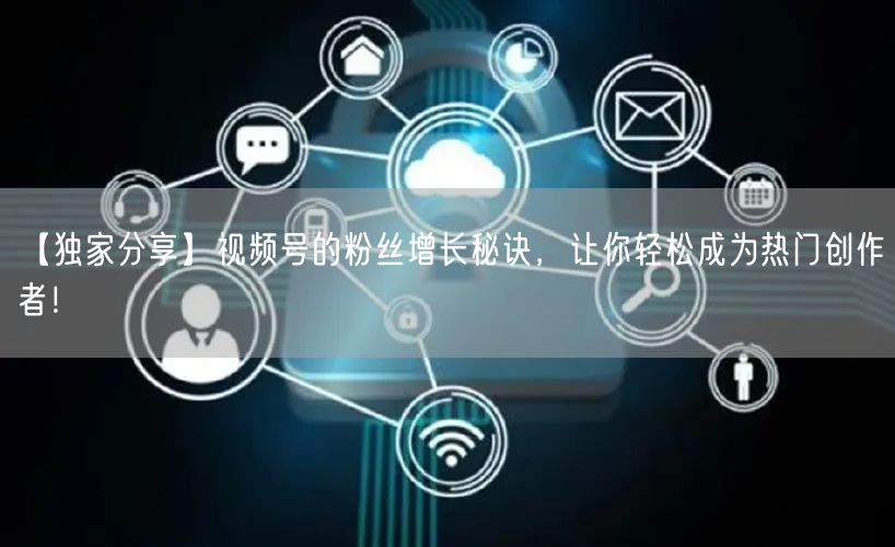 【独家分享】视频号的粉丝增长秘诀,让你轻松成为热门创作者!